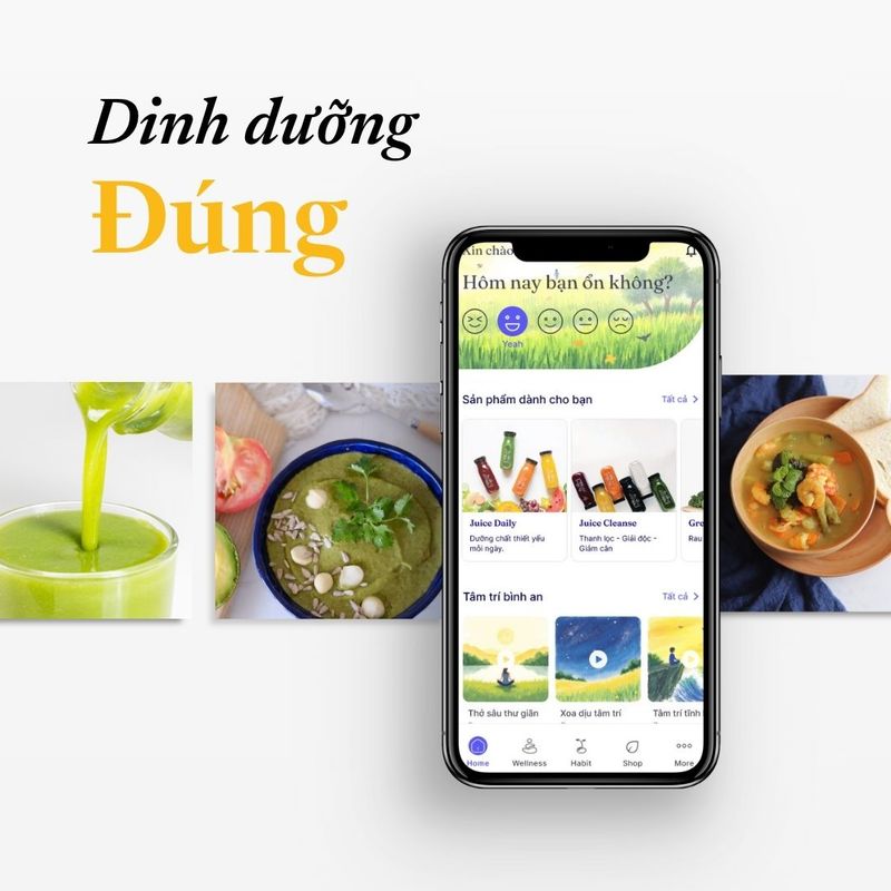 Ứng dụng app hướng dẫn chuyên sâu